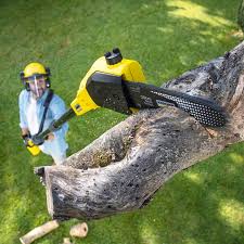 Best Artificial Turf Installation  in Rushvle, IL